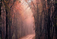 333体育官网：[乒乓球]亚洲杯小组赛第2轮：林高远VS赵大成 集锦.