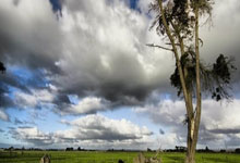 39岁41天！莫德里奇成为皇马队史最年长的出场球员