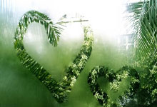 333体育app:一個月像打了雞血一樣增肌18斤 小崔的受傷問題原來跟克萊有異曲同工之妙 只是他的體重更滑稽.